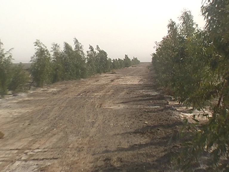 احیای  70 هکتار از اراضی بیابانی بشرویه