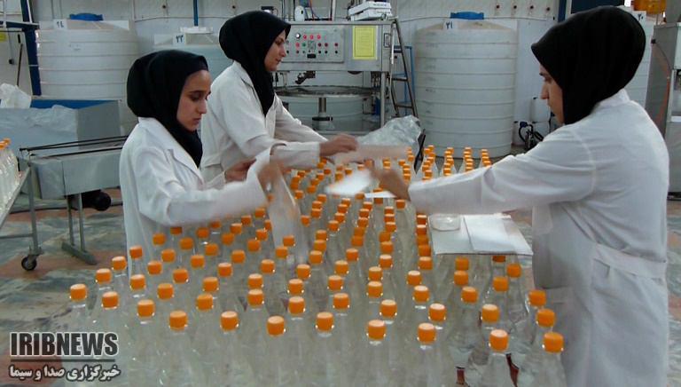 تولید بیش از 4 هزار تن عرقیات گیاهی در خراسان جنوبی