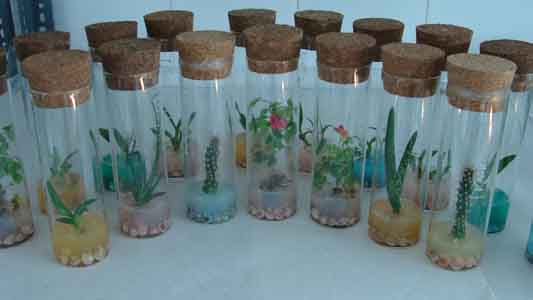 به عمل کار برآید + گزارش