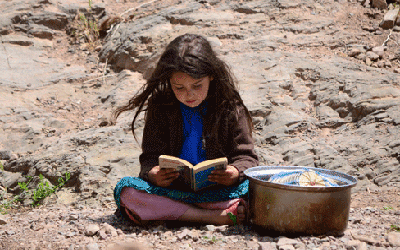 نرگس آبیار داور جشنواره بین المللی فیلم «پونا» هند شد نرگس آبیار داور جشنواره بین المللی فیلم «پونا» هند شد