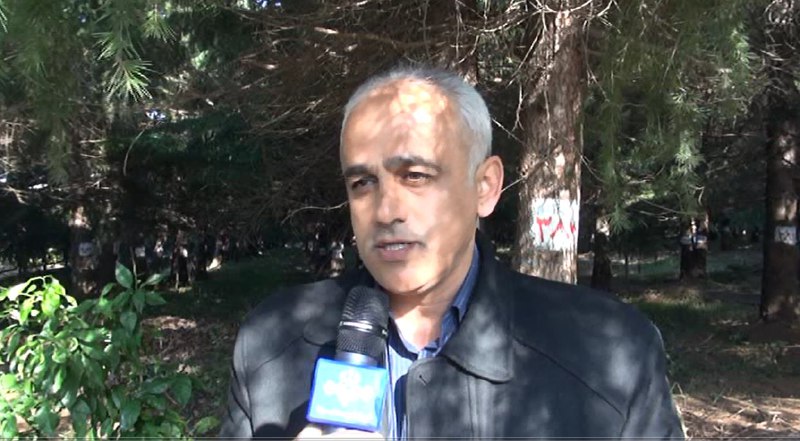 پایان عقد قرار داد جدید بهره برداری چوب از جنگل