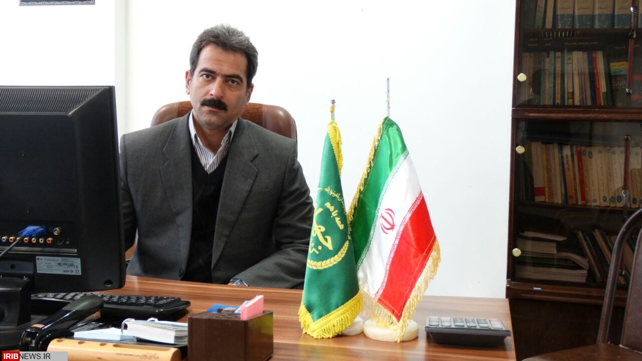 مهلت بیمه کشتهای پاییزه مناطق گرمسیری استان کرمانشاه تا پایان دیماه تمدید شد مهلت بیمه کشتهای پاییزه مناطق گرمسیری استان کرمانشاه تا پایان دیماه تمدید شد