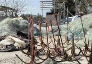 جمع‌آوری 6 هزار 500 رشته دام ماهیان استخوانی درجویبار