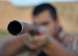 شکارچیان در حسرت  لاشه های کل وحشی