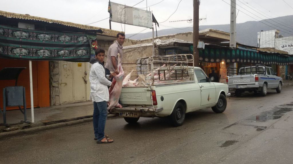 خودروهای حمل فرآورده های خام دامی پروانه بهداشتی الکترونیکی گرفتند