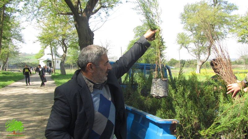 توزیع 120 هزار اصله نهال بین شهروندان مشهدی