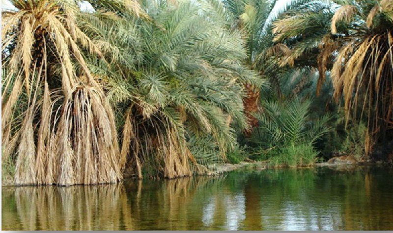 خراسان جنوبی رتبه نخست میراث طبیعی کشور