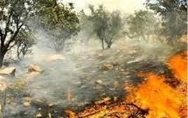 مهار آتش سوزی جنگلها و مراتع منطقه حفاظت شده خامی