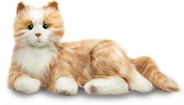 آشنایی با چند نمونه ربات جدید