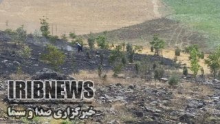 یک کشته در آتش سوزی پارک جنگی بوکان