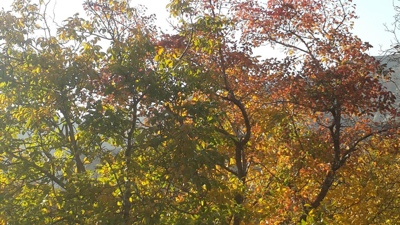 پائیز فیروزکوه