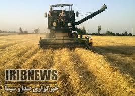 زیرکشت رفتن 90 درصد از اراضی کشاوری بخش خلیفان زیرکشت رفتن 90 درصد از اراضی کشاوری بخش خلیفان