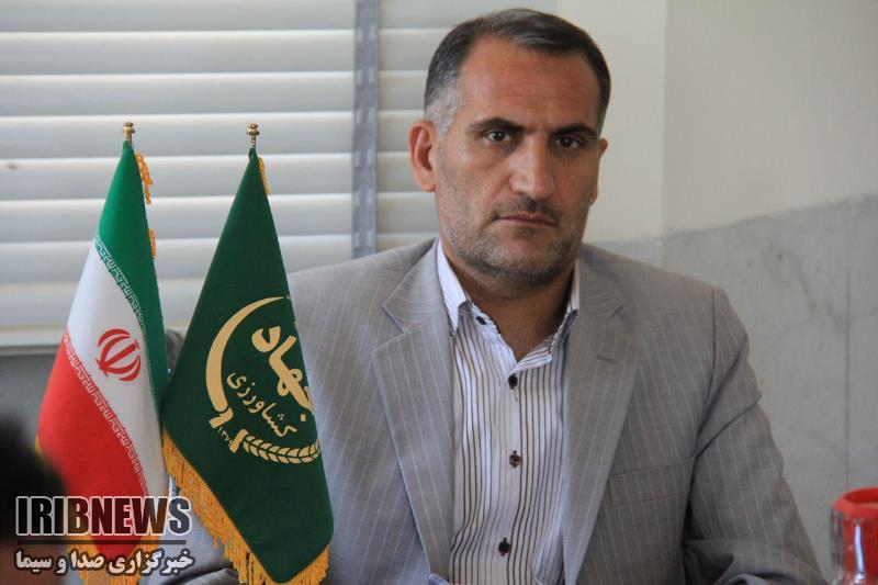 تولید 434 هزار اصله نهال در چهارمحال و بختیاری