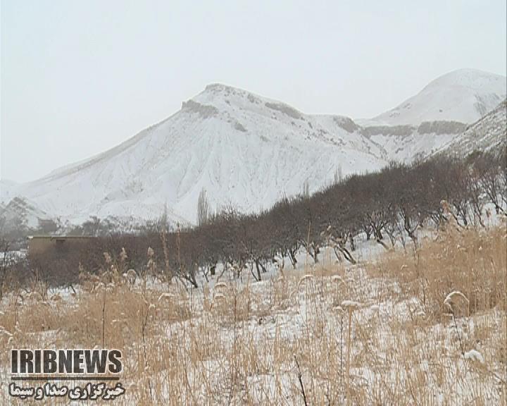 احتمال سرمازدگی محصولات کشاورزی خراسان شمالی