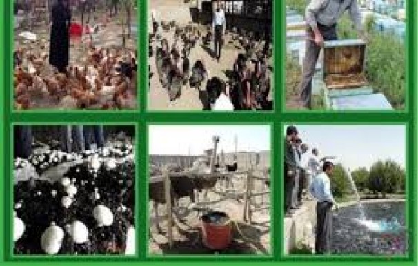 پرداخت تسهیلات بانکی به طرح های اشتغالزای روستائیان از فردا پرداخت تسهیلات بانکی به طرح های اشتغالزای روستائیان از فردا