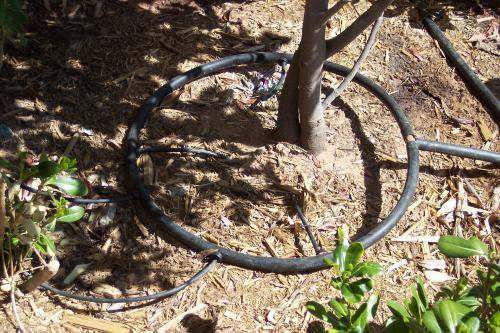 تجهیززمینهای کشاورزی استان به آبیاری نوین تجهیززمینهای کشاورزی استان به آبیاری نوین