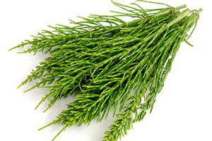 تأثیرات شگفت‌انگیز ۶ گیاه در مبارزه با سرطان