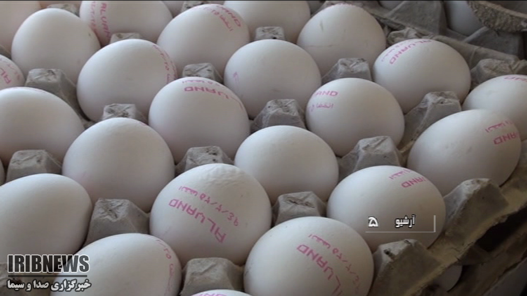 توزیع تخم مرغ با نرخ مصوب تا پایان اسفند ماه
