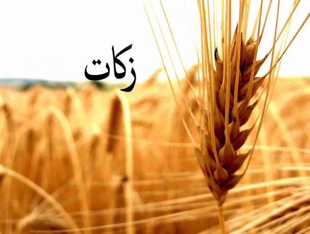 اهدای۶۳درصد زکات به نیازمندان چهارمحال و بختیاری