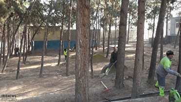 نجات درختان پارک جنگلی پیشوا از خشک شدن نجات درختان پارک جنگلی پیشوا از خشک شدن