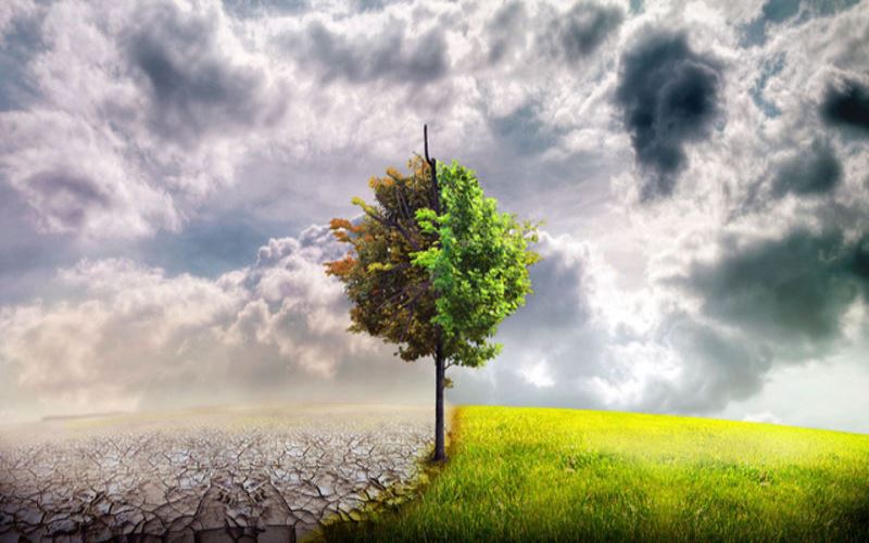 توصیه های کشاورزی منتشر شد توصیه های کشاورزی منتشر شد