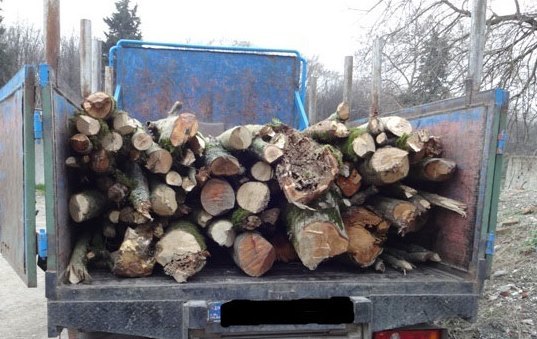 تشدید برخورد با قاچاقچیان چوب و ذغال در فارس تشدید برخورد با قاچاقچیان چوب و ذغال در فارس