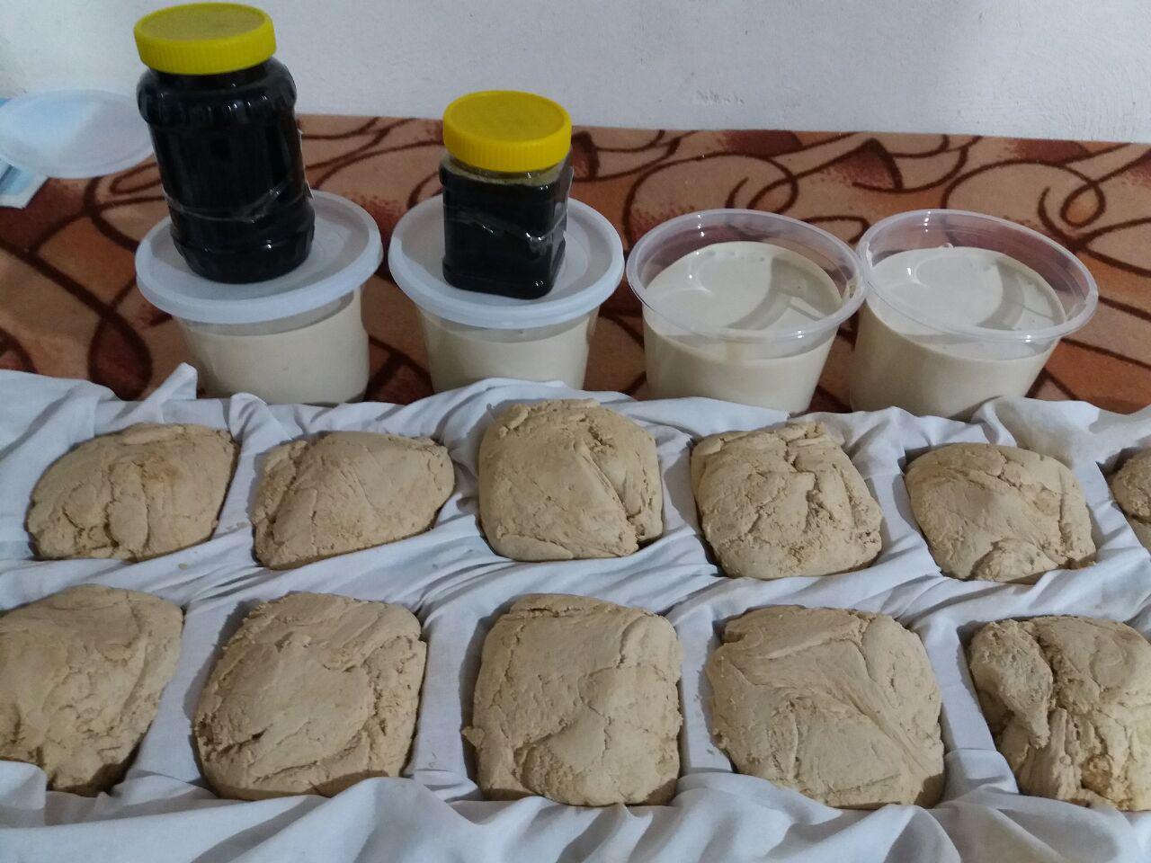 آغاز برداشت نیشکر در صومعه سرا