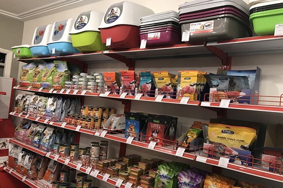 از منو غذایی ۷۵ هزار تومانی برای بچه گربههای حساس تا سگهایی که نباید استرسی شوند! از منو غذایی ۷۵ هزار تومانی برای بچه گربههای حساس تا سگهایی که نباید استرسی شوند!