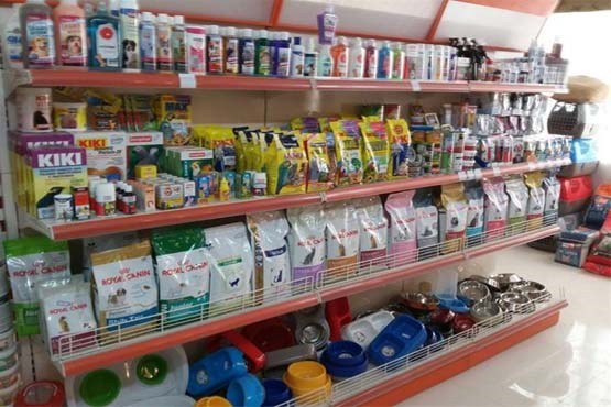 از منو غذایی ۷۵ هزار تومانی برای بچه گربههای حساس تا سگهایی که نباید استرسی شوند! از منو غذایی ۷۵ هزار تومانی برای بچه گربههای حساس تا سگهایی که نباید استرسی شوند!