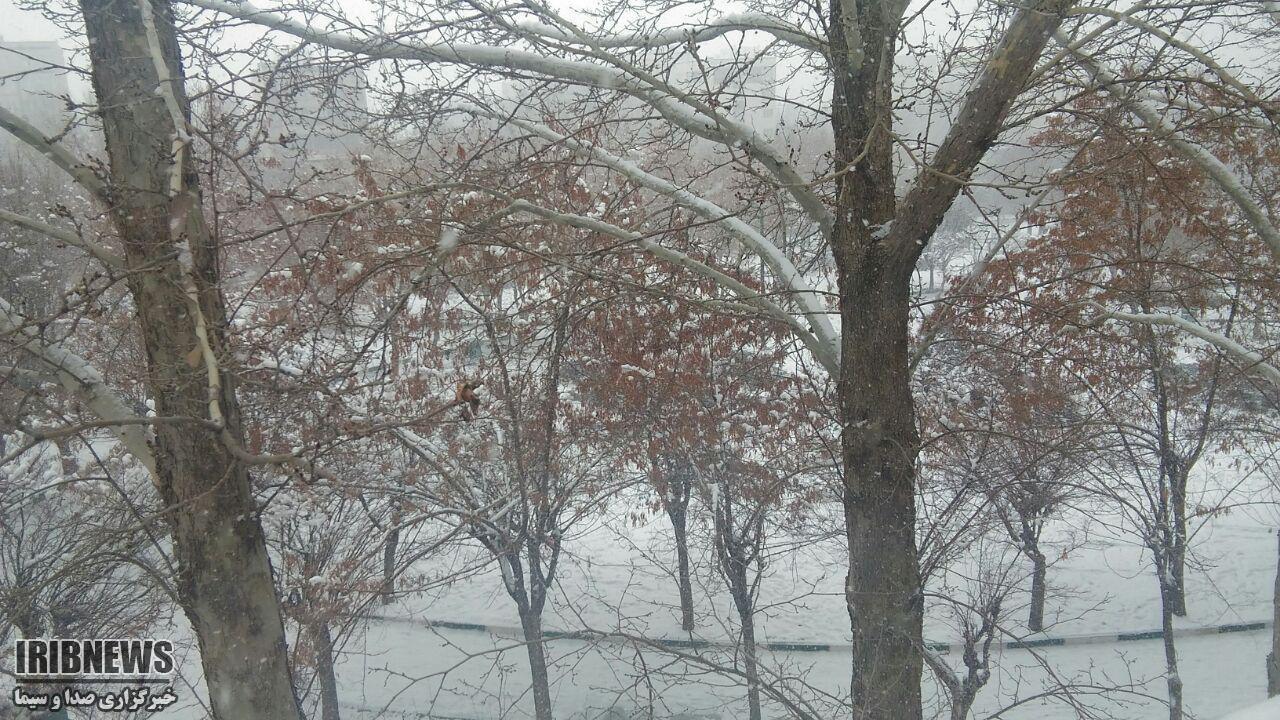 ورود سامانه جدید بارشی به همدان ورود سامانه جدید بارشی به همدان