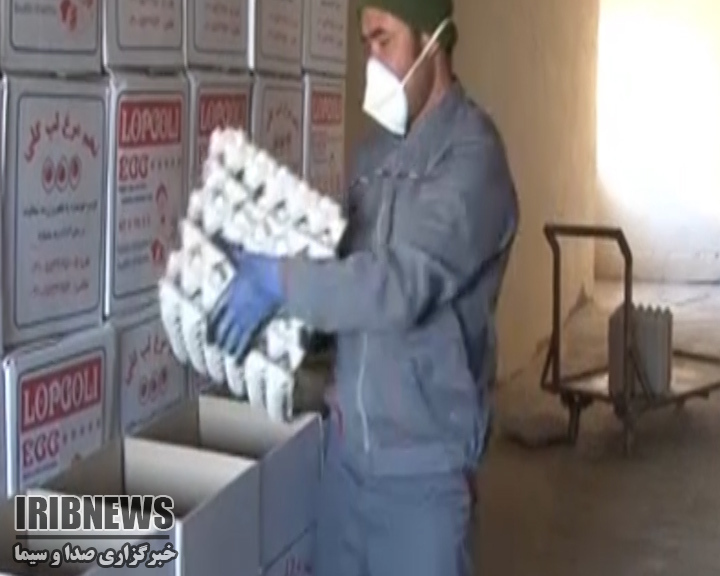 از افتتاح ساختمان خیرساز تا شکوفه زدن زودهنگام درختان بادام