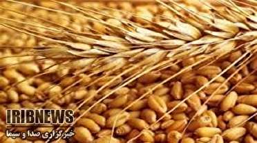 معرفی و توسعه ارقام جدید بذر غلات در زنجان