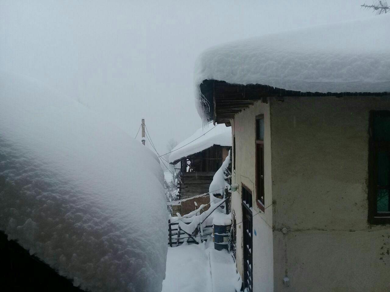 وصل شدن آب خانوارهای روستایی گیلان