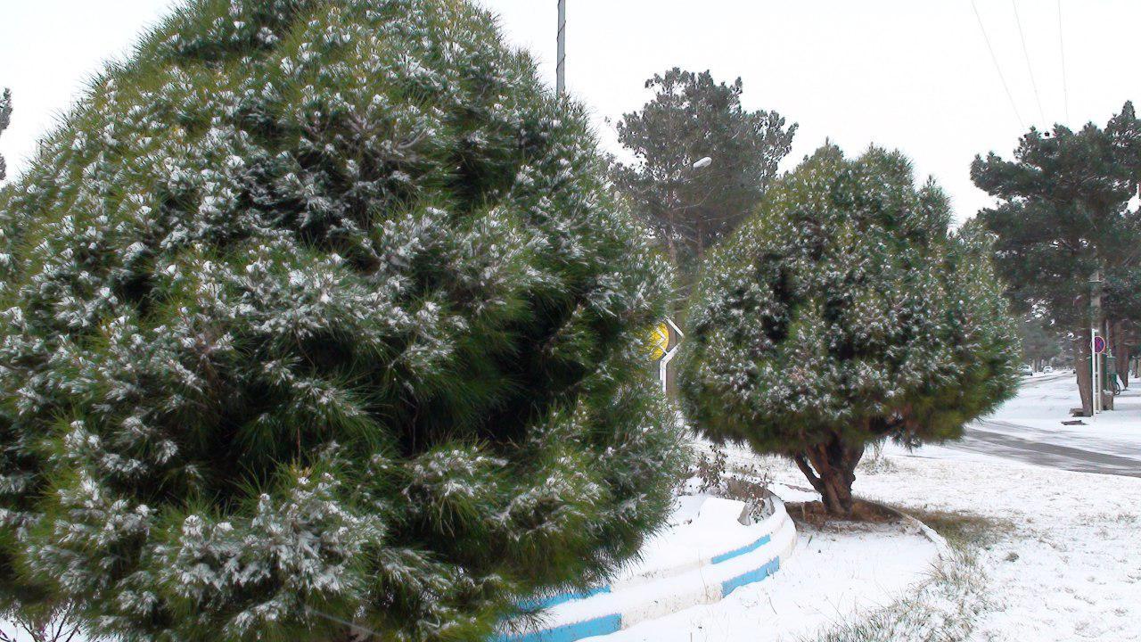 ادامه فعالیت سامانه بارشی در خراسان جنوبی