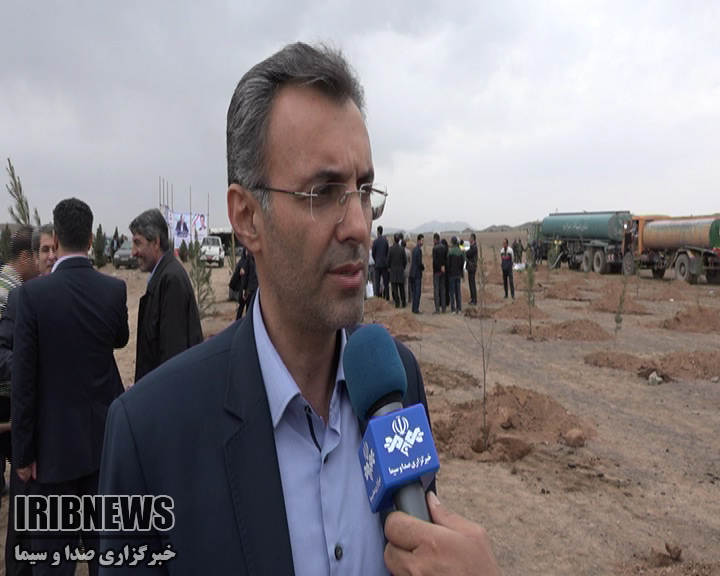 کاشت نهال در 170 هکتار اراضی شهرستان ملارد کاشت نهال در 170 هکتار اراضی شهرستان ملارد