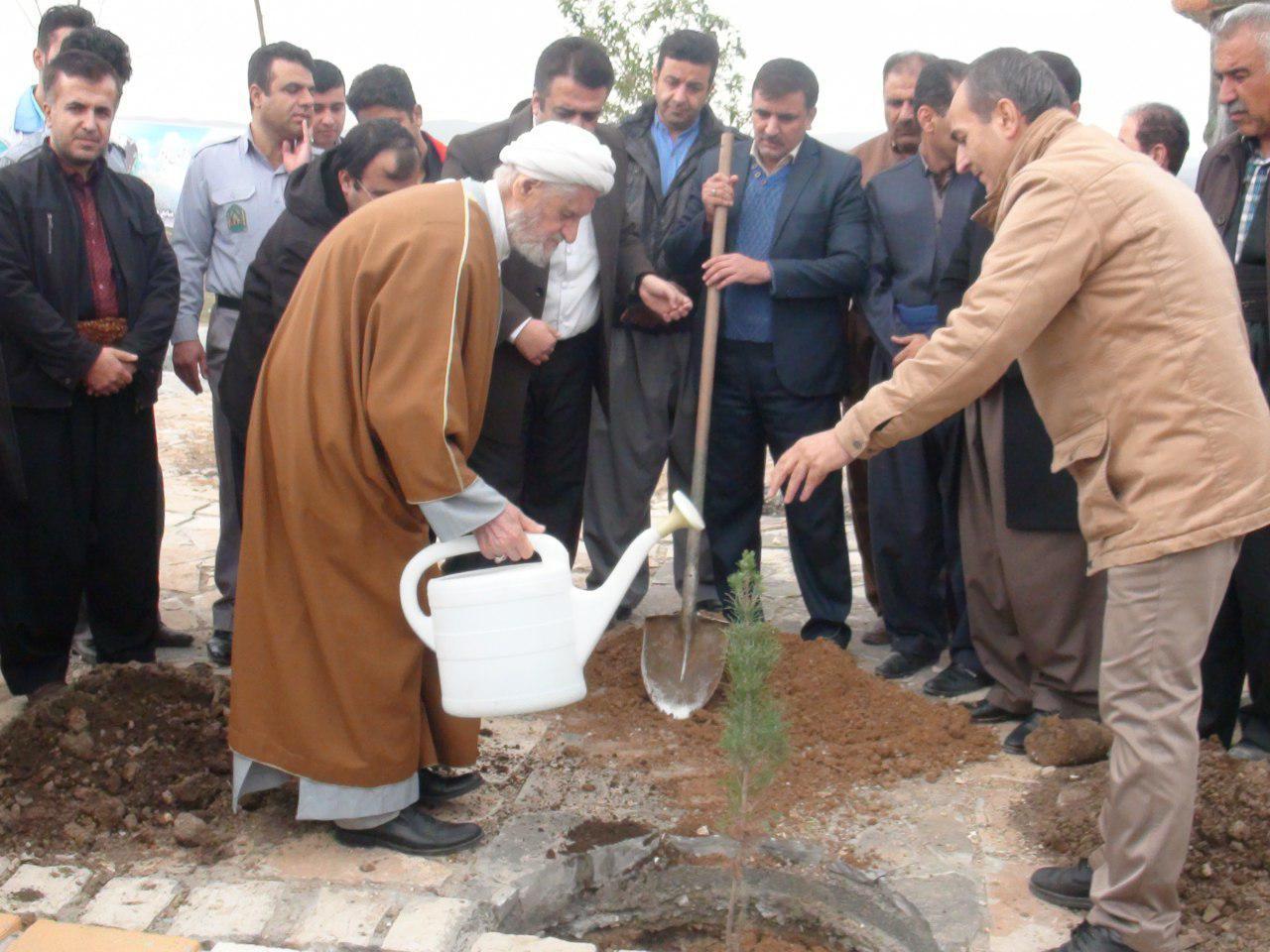 غرس دوهزار اصله نهال در جوانرود غرس دوهزار اصله نهال در جوانرود