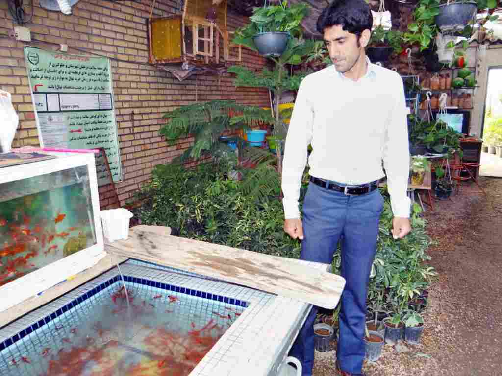 آغاز نظارت بهداشتی دامپزشکی بر عرضه ماهی قرمز آغاز نظارت بهداشتی دامپزشکی بر عرضه ماهی قرمز