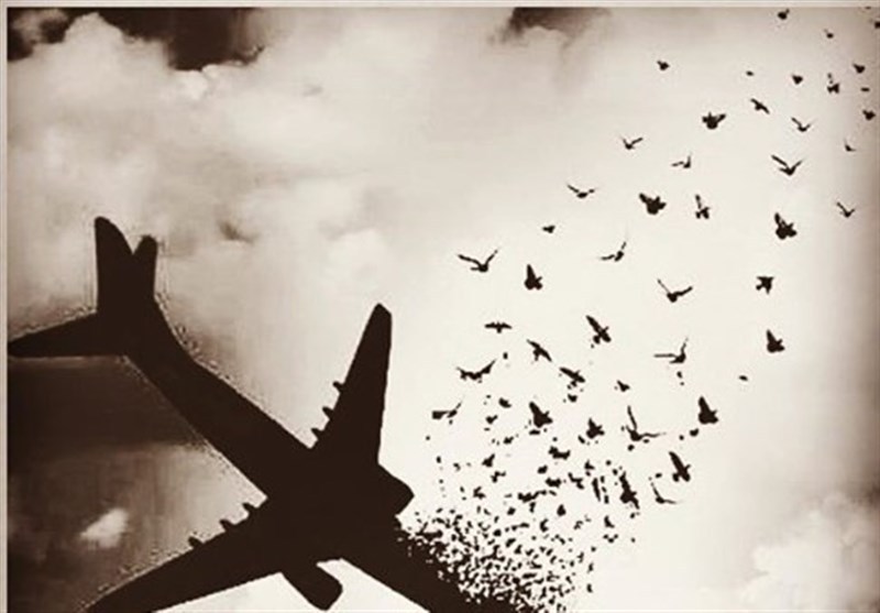 وداع شاعران با جانباختگان هواپیمایی آسمان