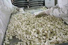 پلمپ یک واحد گز پزی