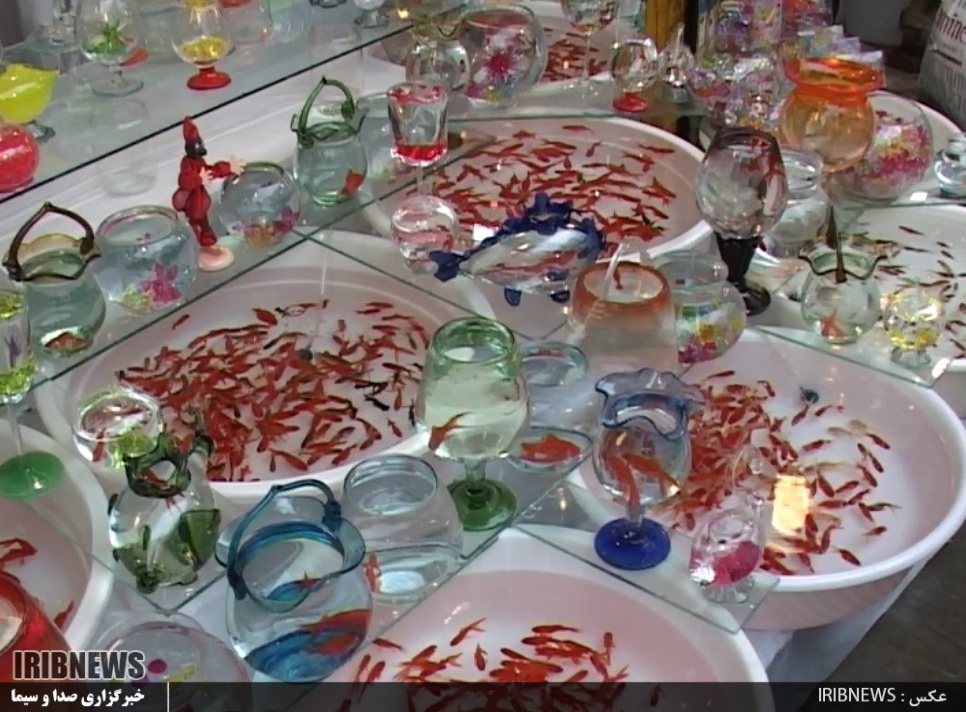 گزارش مکتوب...گیلان، قطب پرورش ماهی قرمز سفره هفت سین گزارش مکتوب...گیلان، قطب پرورش ماهی قرمز سفره هفت سین