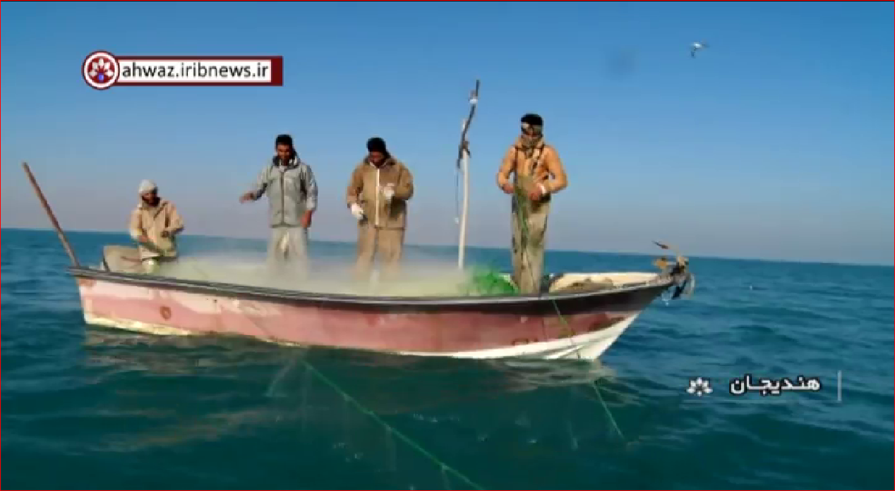 گزارش صید ماهی از صیادان هندیجان