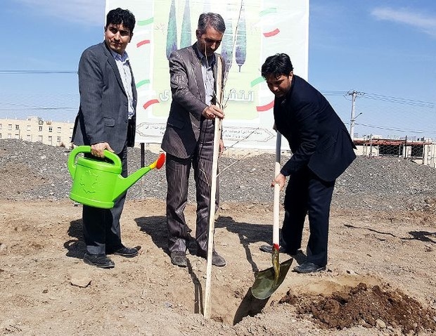 کاشت نهال توسط اصحاب رسانه در مشهد