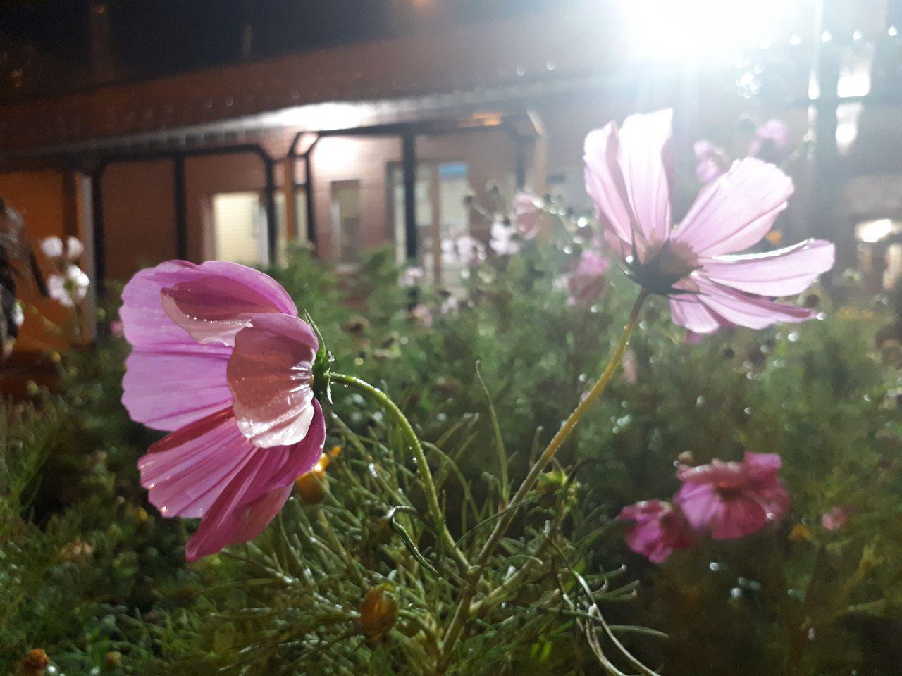 26 میلیمتر بارش باران الهی 26 میلیمتر بارش باران الهی