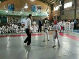 سنجش هیئت ها و سبک هاى کاراته