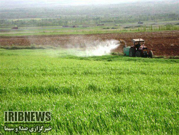 کشاورزان مزارع خود را سمپاشی کنند کشاورزان مزارع خود را سمپاشی کنند