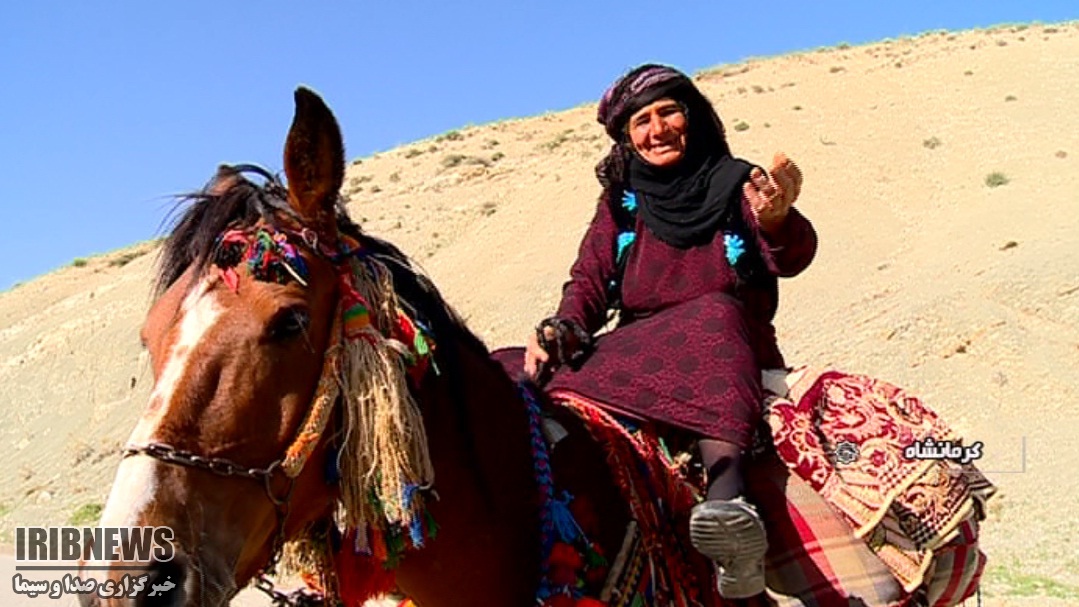 همسفر با راه پرفراز و نشیب عشایر + فیلم همسفر با راه پرفراز و نشیب عشایر + فیلم