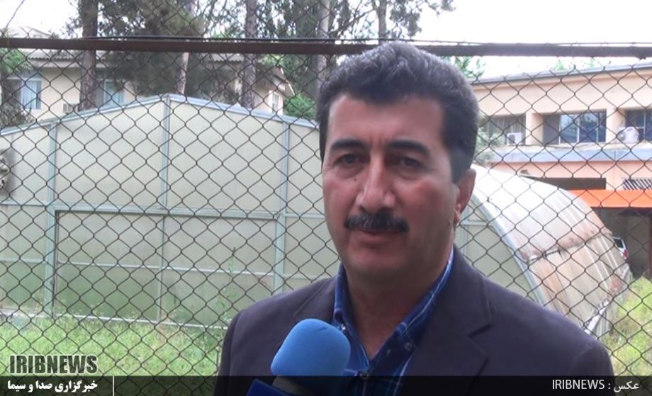 تسهیلات برای توسعه کشت گلخانه ای در گلستان تسهیلات برای توسعه کشت گلخانه ای در گلستان