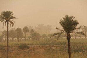 تداوم گردوغبار در نواحی مرزی استان تا صبح فردا