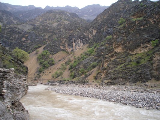 نجات گردشگر آلمانی در منطقه جنگلی چهارمحال و بختیاری