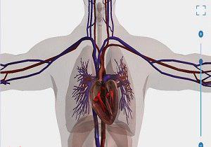 آیا از بدن خود خبر دارید؟